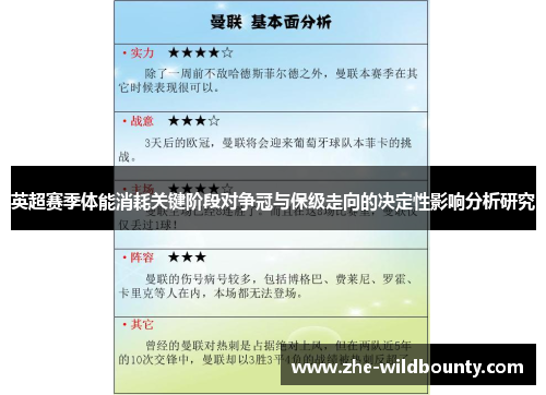 英超赛季体能消耗关键阶段对争冠与保级走向的决定性影响分析研究