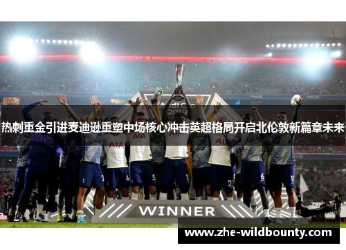 热刺重金引进麦迪逊重塑中场核心冲击英超格局开启北伦敦新篇章未来