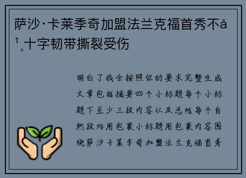 萨沙·卡莱季奇加盟法兰克福首秀不幸十字韧带撕裂受伤 萨沙·卡莱季奇加盟法兰克福首秀不幸十字韧带撕裂受伤