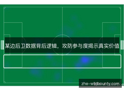某边后卫数据背后逻辑,攻防参与度揭示真实价值 某边后卫数据背后逻辑,攻防参与度揭示真实价值